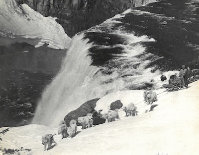Rex of White Way at Waterfall in Idaho with Lloyd and Alta Van Sickle on Sled (Courtesy Walt and Jan Kauzlarich)